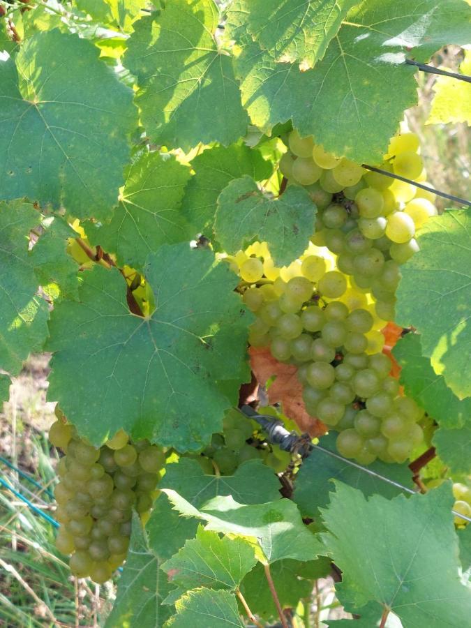 Epernay Capital De Champagne公寓 外观 照片