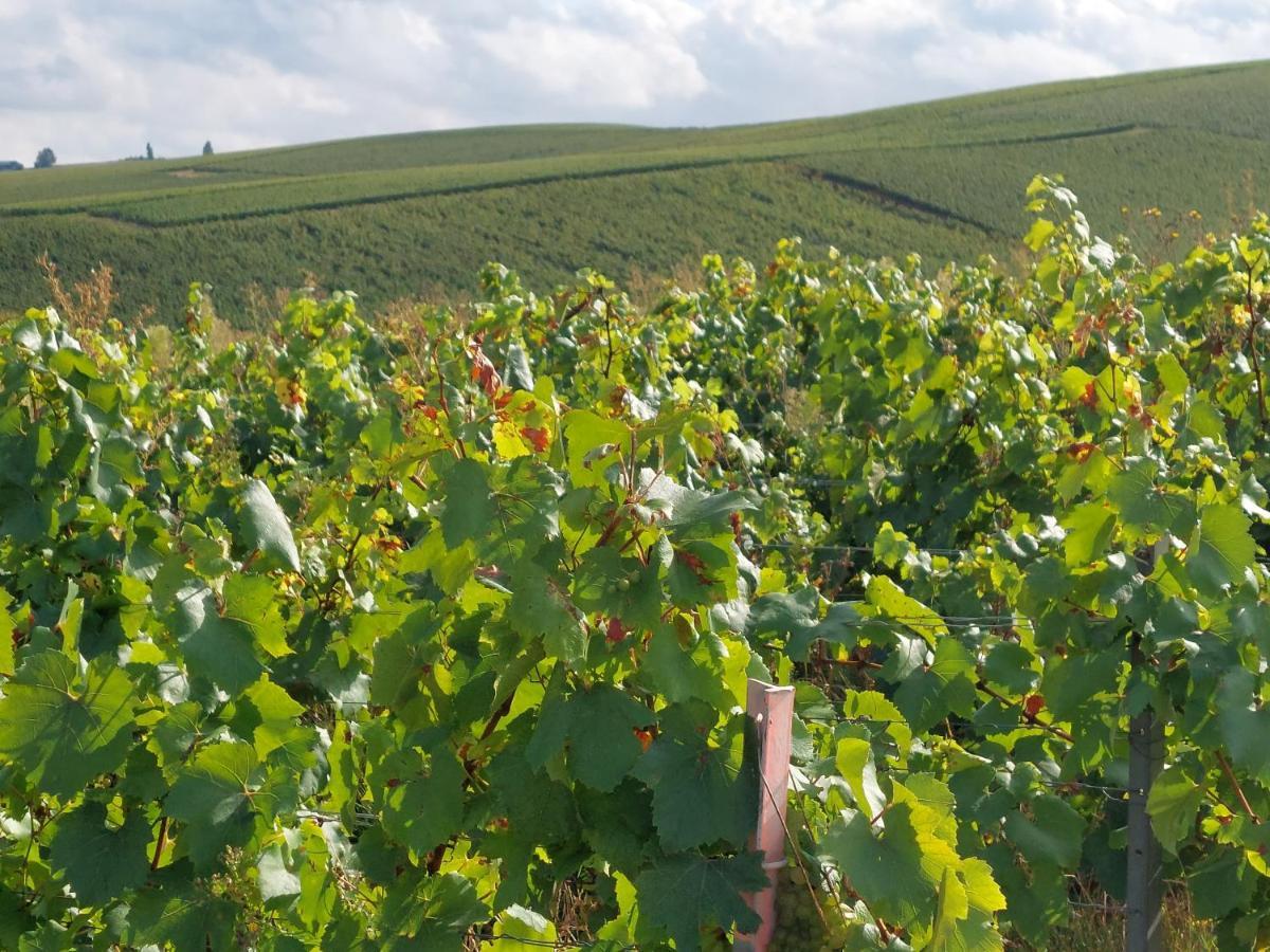 Epernay Capital De Champagne公寓 外观 照片