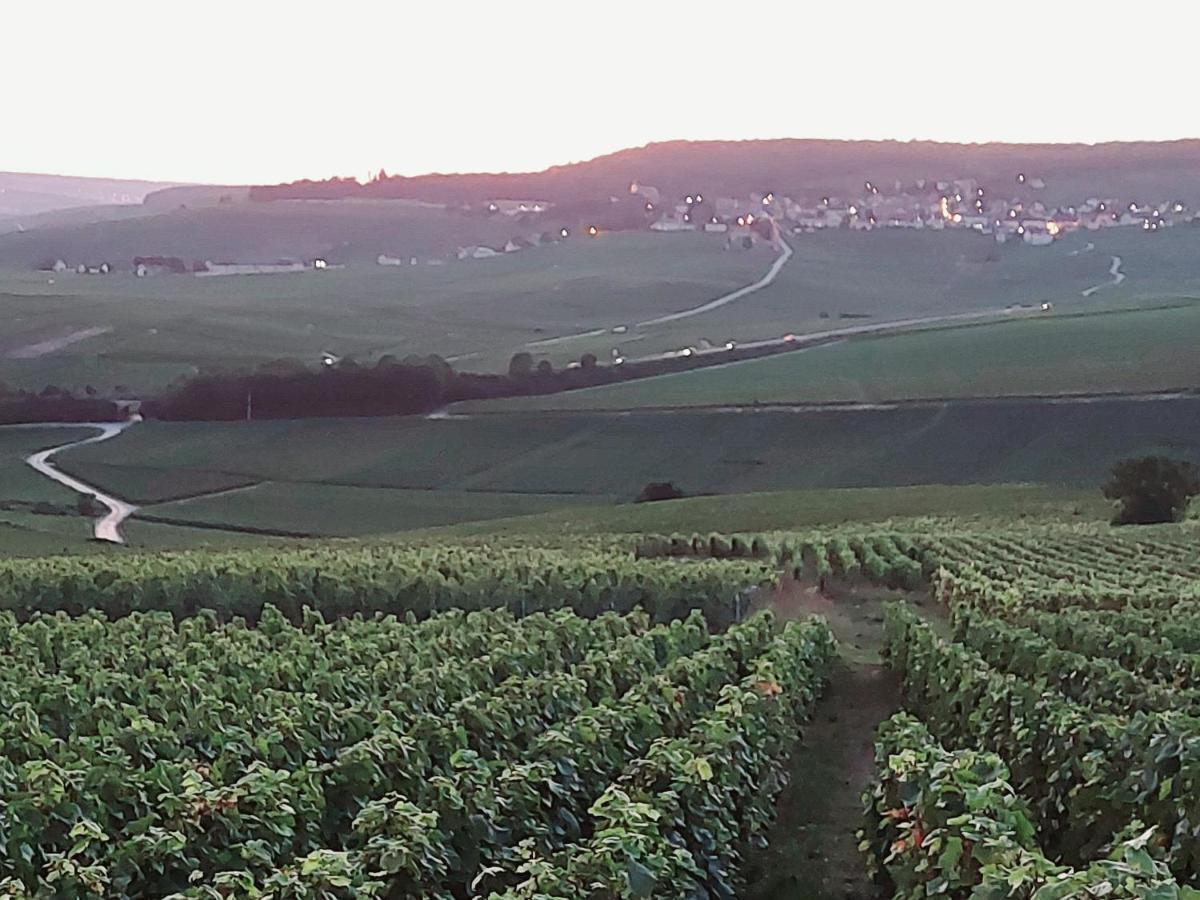 Epernay Capital De Champagne公寓 外观 照片