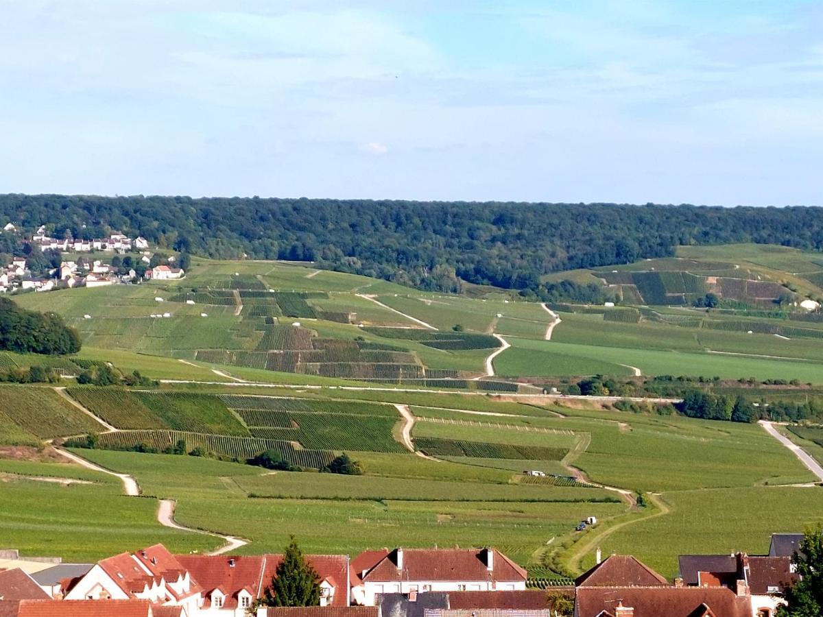 Epernay Capital De Champagne公寓 外观 照片