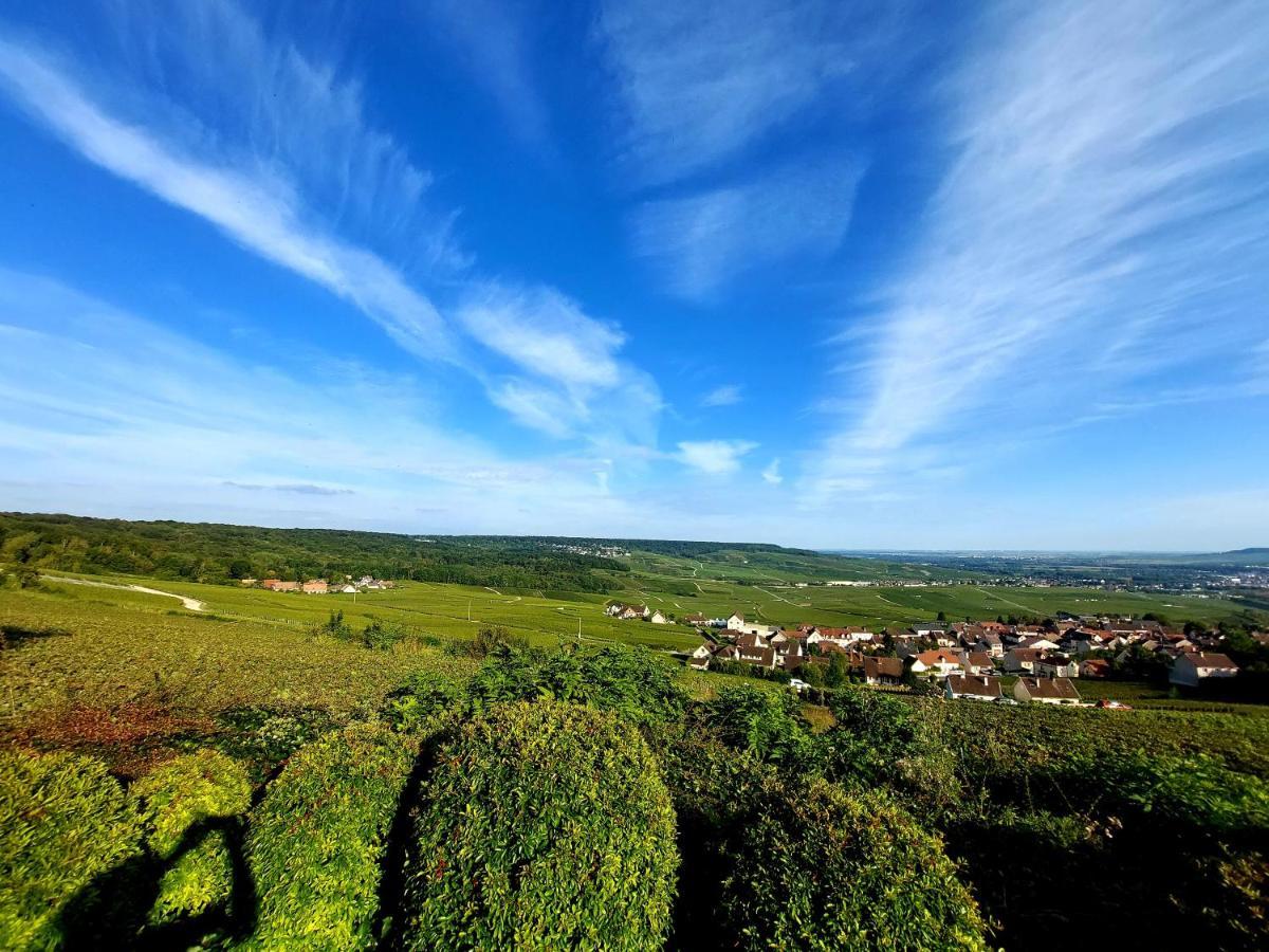 Epernay Capital De Champagne公寓 外观 照片