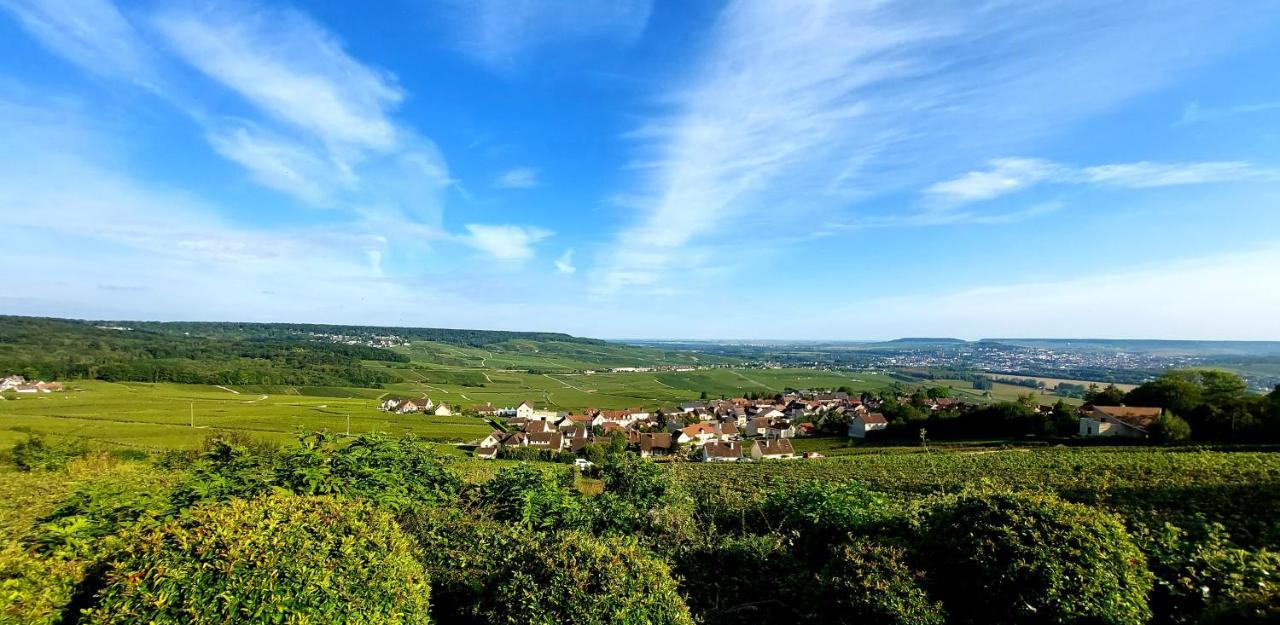 Epernay Capital De Champagne公寓 外观 照片